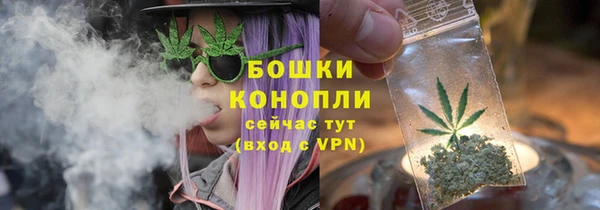 дурь Семилуки